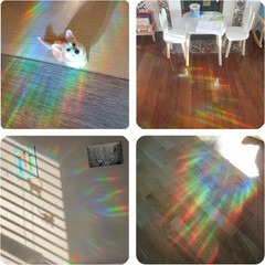 60 Pieces Static Window Clings Anti Collision Decals for Bird Star-60