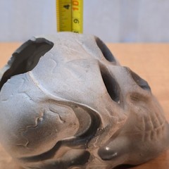 Plastic Human Skull Small 5″ Decoration Halloween Gothic