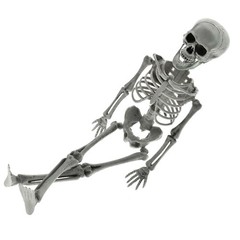 New Poseable Full Party Prop Decoration Human Skeleton Halloween 40cm