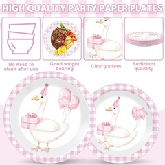 Pink 1st Birthday Party Decorations – Silly Goose Theme