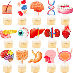 48Pcs Human Anatomy Party Cupcake Toppers Human Anatomy Body Part Birthday Party