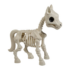 25″ x 23″ Standing Pony Plastic Skeleton Halloween Decoration – Morris Costumes