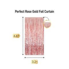 29th Birthday Party Decorations for Women Rose Gold Supplies Set with Last Ye…