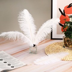 100 Pcs Natural Black / White Ostrich Feathers for Wedding White