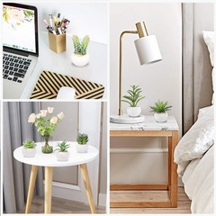 GREENTIME 6 2.5 inches (D) x (W) x 4.5 (H), Green-white Pot