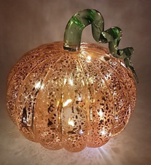Halloween Autumn Fall Orange Pumpkin Light Up Battery Operated