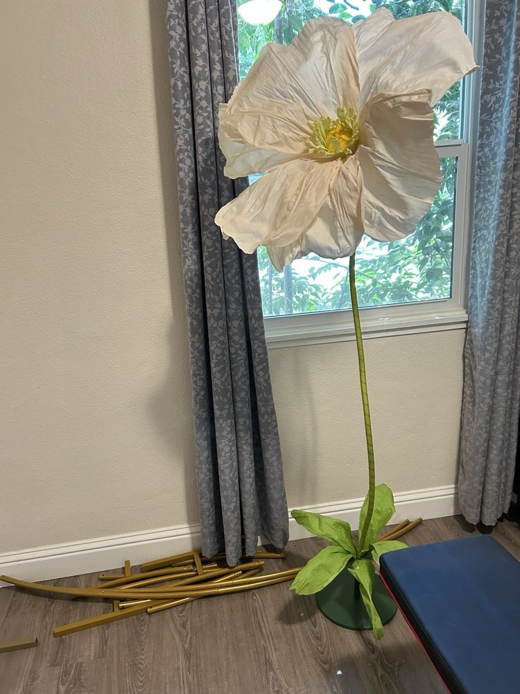 Giant Paper Flower. Party Wedding