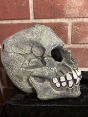 Halloween Prop – Dark Grey Distressed Dynamic Skull Prop