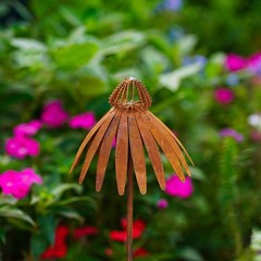 Bronze Rusted Echinacea Garden Stake Metal Art for Lawn and Flower Beds