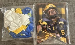 Michigan University