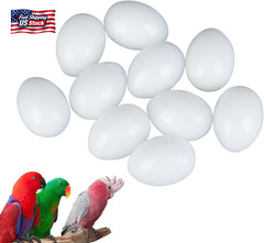 10Pcs Solid Parrot Plastic Fake Eggs Realistic, Simulated Fake Bird Eggs for Hat
