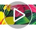 Hello Summer Beach Banner Hawaiian Summer Banner Yard Sign Outdoor Indoor Party