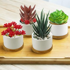 QUOZUO Artificial Succulents Plants, 16pcs Fake 1.8-5.1 inches, Colorful