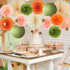 Olive Green and Orange Party Decorations Olive Birthday Party Decorations Peach