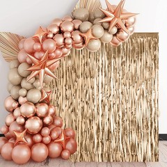 Voircoloria 2 Pack Champagne Foil Fringe Backdrop Curtains, Tinsel Streamers