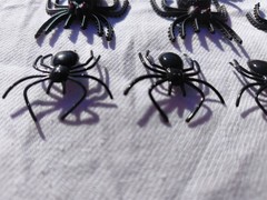 20 Fake Realistic Spider Insect Model Joke Prank Scary Prop Halloween Toy Horror