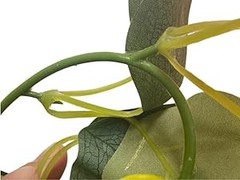 Artificial Eucalyptus Garland 4 Pack, Faux Eucalyptus Greenery Garland 6 ft,