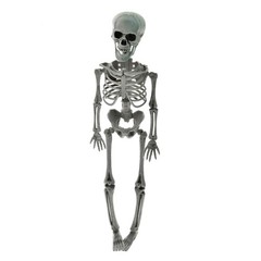 New Poseable Full Party Prop Decoration Human Skeleton Halloween 40cm