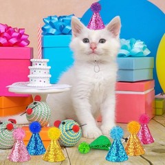 10PCS Mini Birthday Party Hats for Small Pets Stuffed Animals Pom Pom Assorted