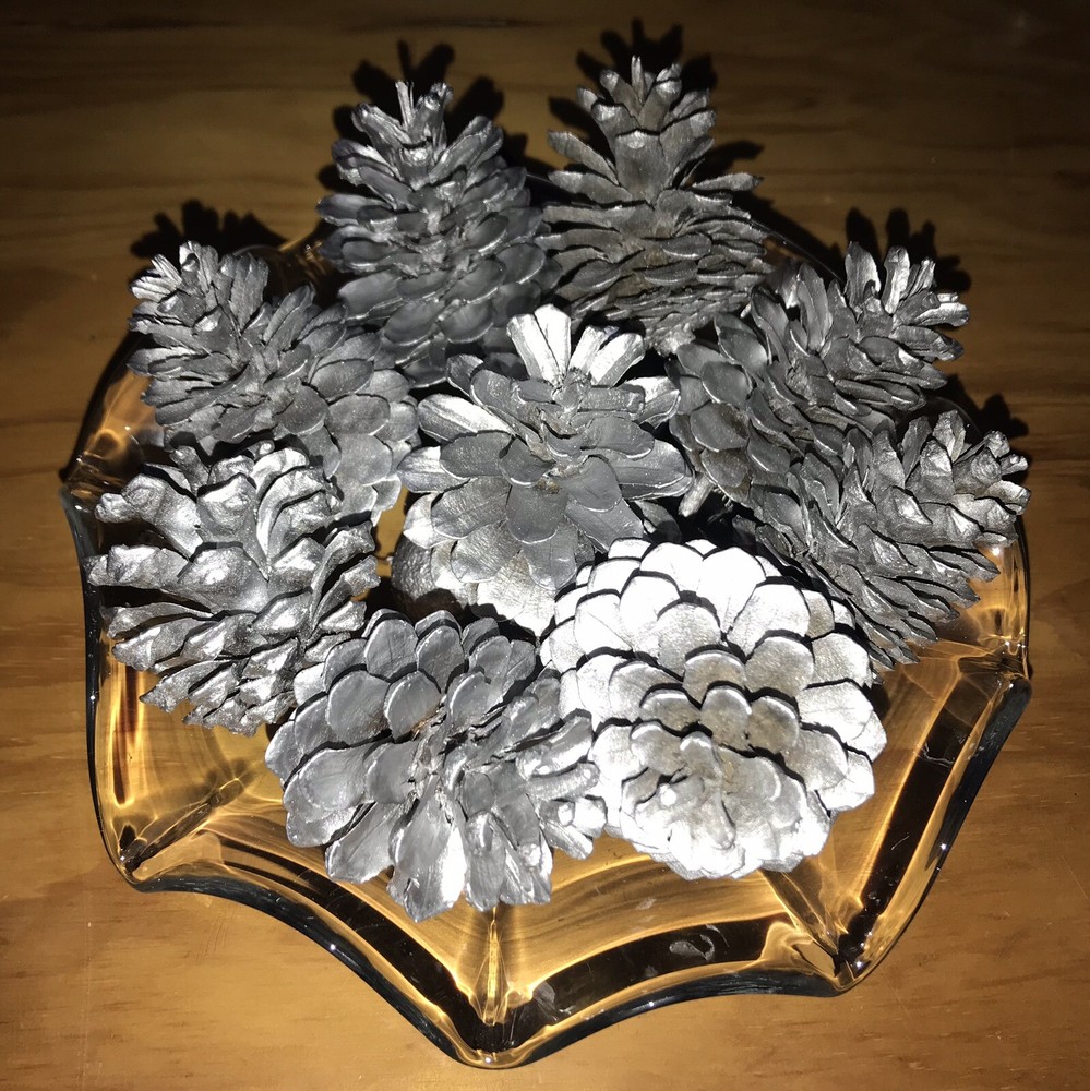 12 PCS Silver Painted Australian Natural Pine Cones 3-5 Cm ALL SEASONS