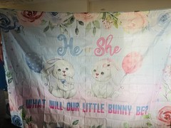 Bunny Gender Reveal Party Backdrop Baby Shower Photo Background Banner
