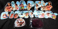 Disney Disney’s Moana Birthday Party Wall Banner – Large scale NEW