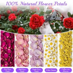 5 QT Dried Flower Petals Biodegradable Wedding Confetti Toss Rose Petals