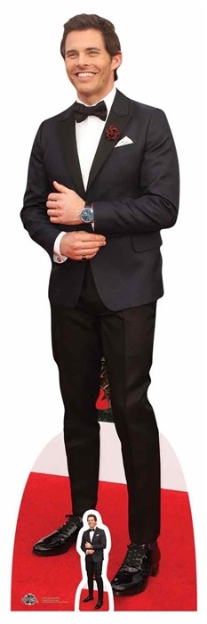 James Marsden Lifesize and Mini Cardboard Cutout / Standup Movie & TV actor
