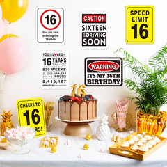 16Th Birthday Party Decorations – 9PCS Happy 16 Years Old Birthday Party Deco…