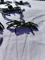 20 Fake Realistic Spider Insect Model Joke Prank Scary Prop Halloween Toy Horror
