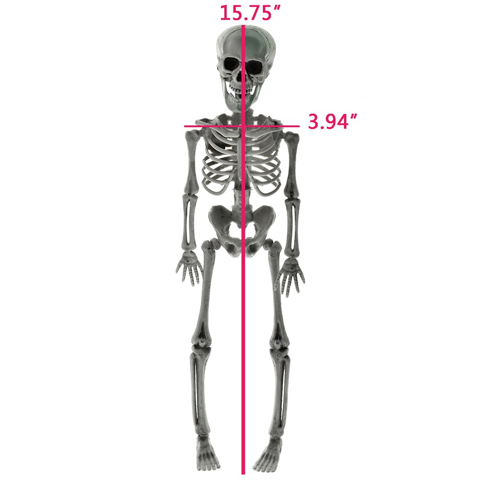 New Poseable Full Party Prop Decoration Human Skeleton Halloween 40cm