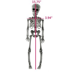 New Poseable Full Party Prop Decoration Human Skeleton Halloween 40cm