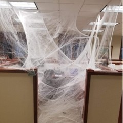 Halloween Spider Web with Black Spider Stretchable Cobweb Party Decoration