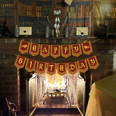 Happy Birthday Decorations Banner Pre-Strung Magic Standard, Red Wizard