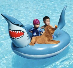 Inflatable Shark Pool Floats, 95″ Large Inflatable Ride on Pool Raft, Shark P…