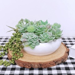Supla 11 Pcs Mini Artificial Succulents Picks Unpotted Faux Succulent Green