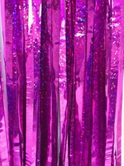 Tinsel Curtain Christmas Foil Fringe Shiny Door Birthday Wedding Party 2M