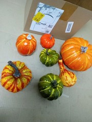 ADQUATOR Artificial Pumpkins 7 Pieces Orange Green Autumn Decoration Plastic New