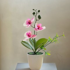 Colorful 3D Printed Butterfly Orchids Flower Pot Home Living Room Decoration