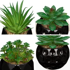 Briful 4.3 inches (D) x (W) x 5.5 (H), Black# 3pcs