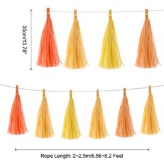 20Pcs Colourful Tassel Garland Banner with Rope