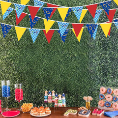 32Ft Hedgehog Birthday Party Decorations Red Blue Yellow and Golden Rings Triang