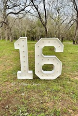 Marquee Numbers 0-9 Frame with Lights 3ft