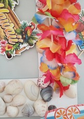Hawaiian Luau Photo Booth Props & Handmade Foam Board Frame With Shells , Luau