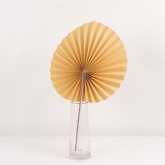 6 Natural 25″ Dried Tropical Palm Leaf Paper Fans Wedding Events Decorations