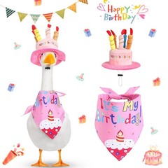 Cheerful Goose for costume Set for Outdoor Birthday Parties with Fun Accessories