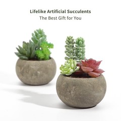 SPEPLA Succulents Plants Artificial 4 Pack, Mini Fake in Type2