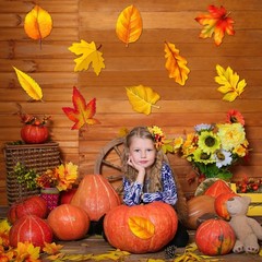 Autumn Thanksgiving Fall Maple Leaves Cutouts Bulletin Board Decor 45 Pack