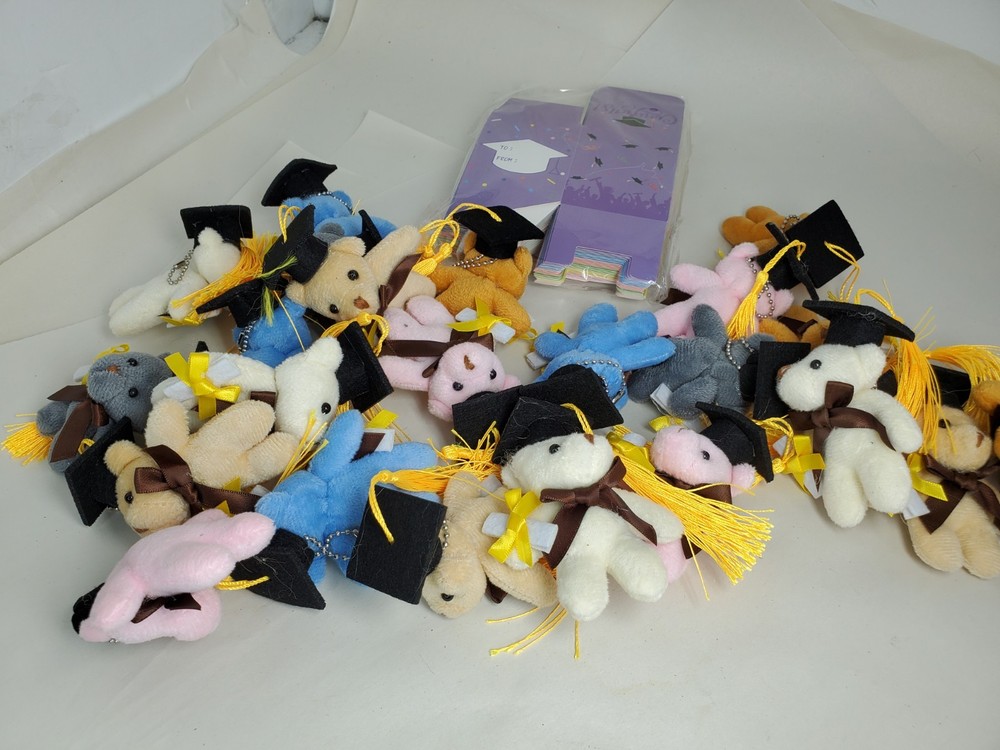Mini Teddy Keychain Plush Multicolored Graduaction Gift Bears With Boxes New 22