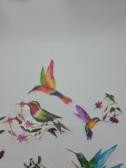 10 Pieces Large Size Hummingbird Window Decals Lot